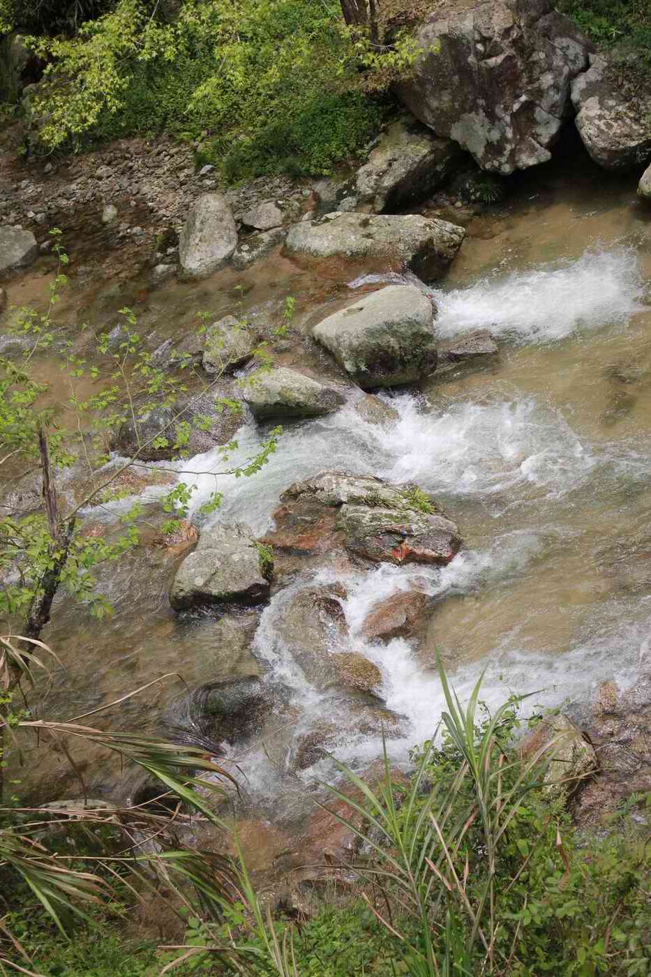 _mg_8717.jpg