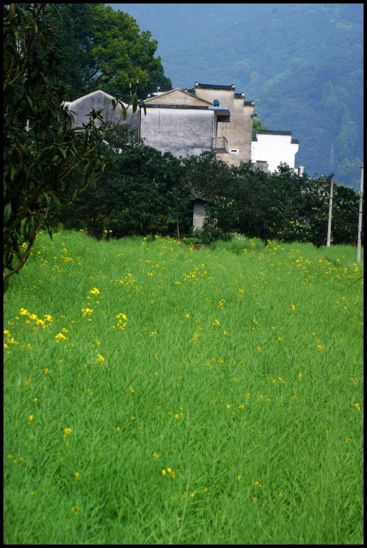 conew_徽杭探古 856_conew1.jpg