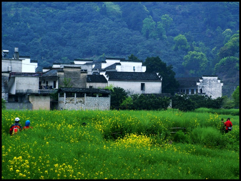 conew_徽杭探古 880_conew1.jpg