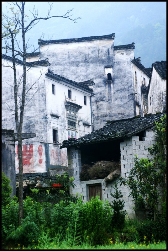 conew_徽杭探古 954_conew1.jpg