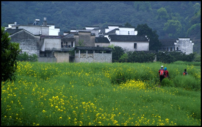 conew_徽杭探古 882_conew1.jpg