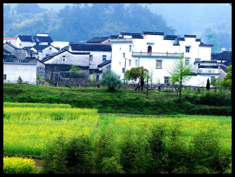 conew_conew_徽杭探古 1016_conew1.jpg