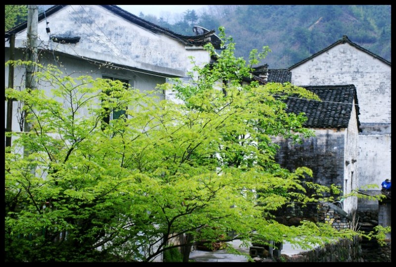 conew_conew_徽杭探古 1130_conew1.jpg