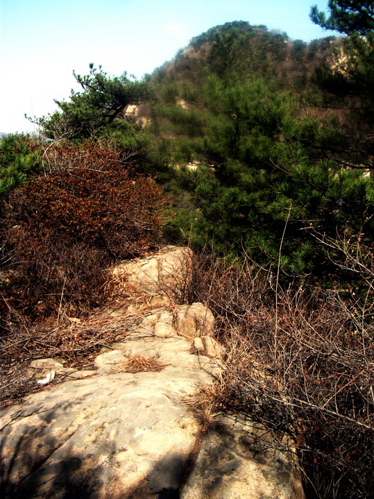 dscf0226.jpg