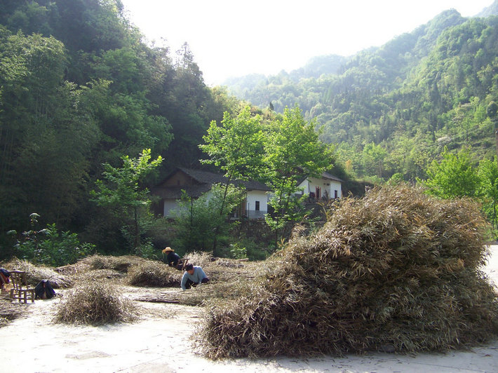 100_9924.jpg