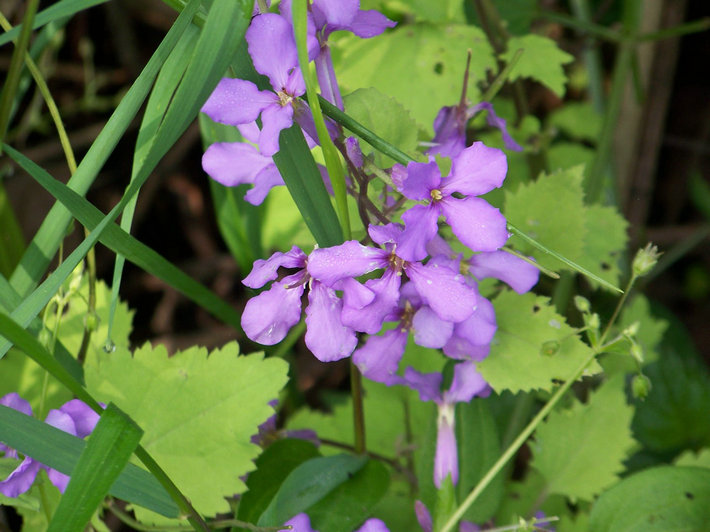 100_9927.jpg
