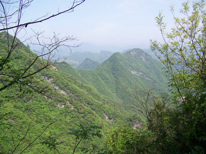 100_9960.jpg
