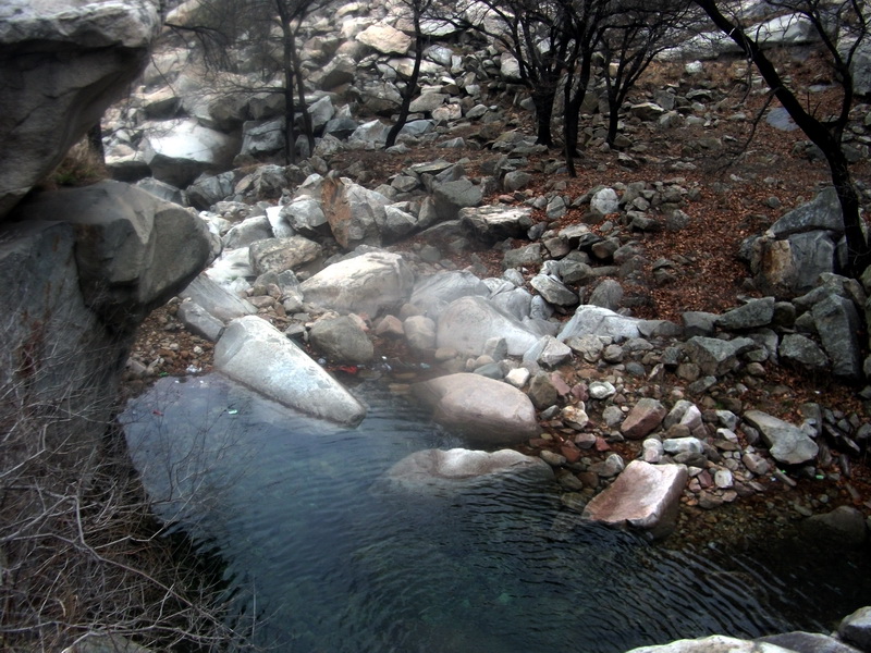 dscf0127.jpg