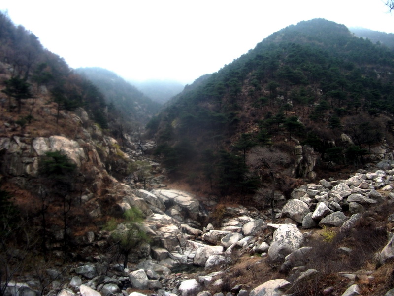 dscf0128.jpg