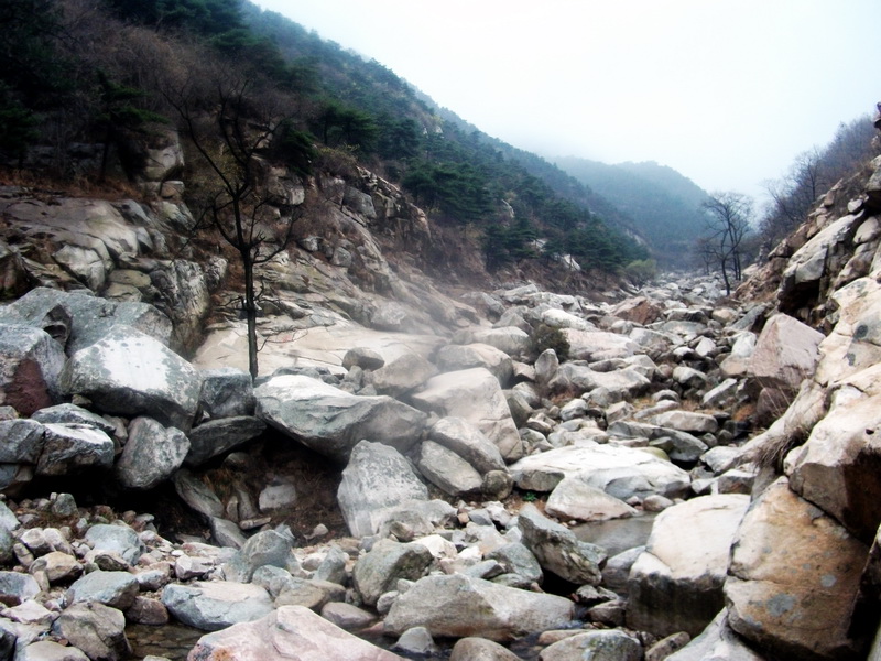dscf0129.jpg