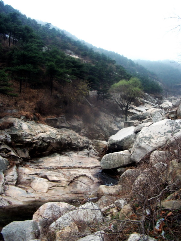 dscf0130.jpg