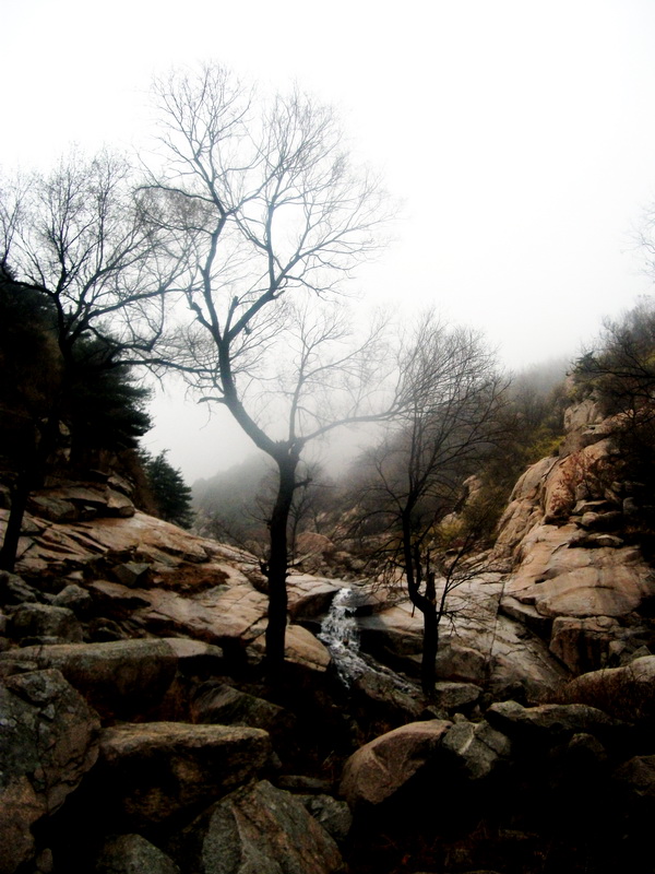 dscf0131.jpg