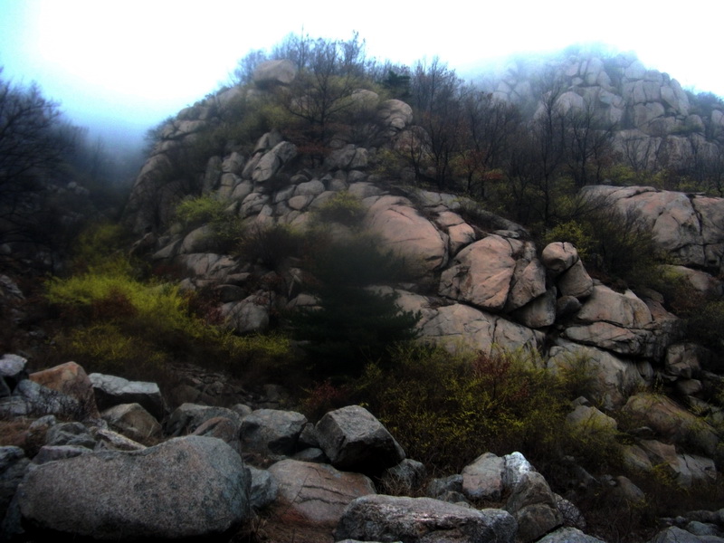 dscf0132.jpg