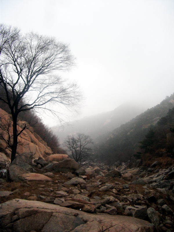 dscf0133.jpg