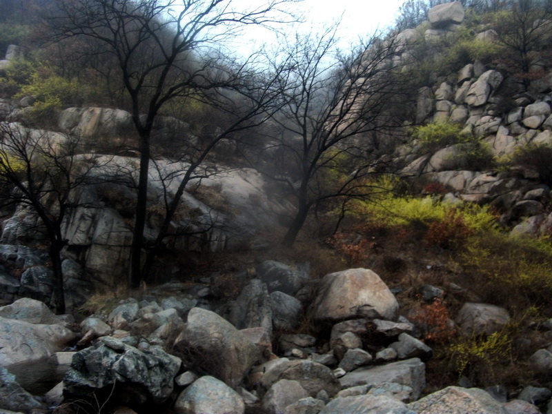 dscf0134.jpg