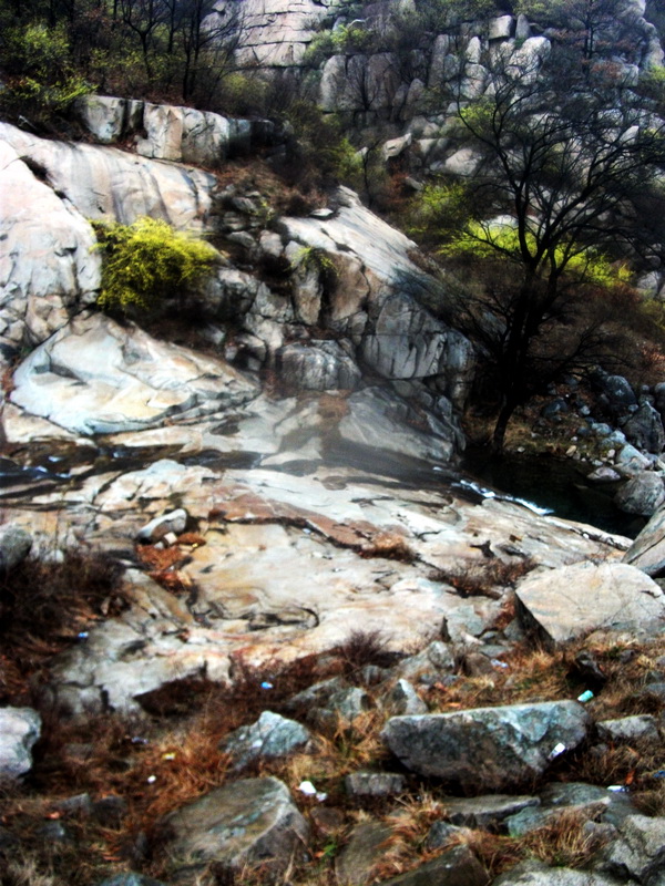 dscf0135.jpg