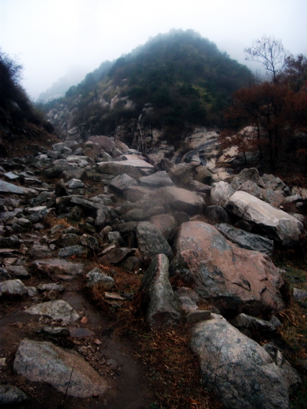 dscf0136.jpg