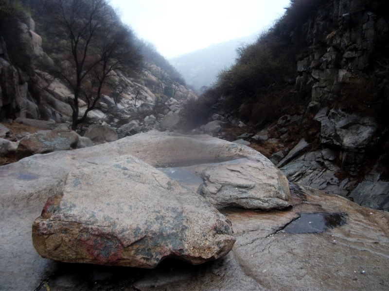 dscf0137.jpg
