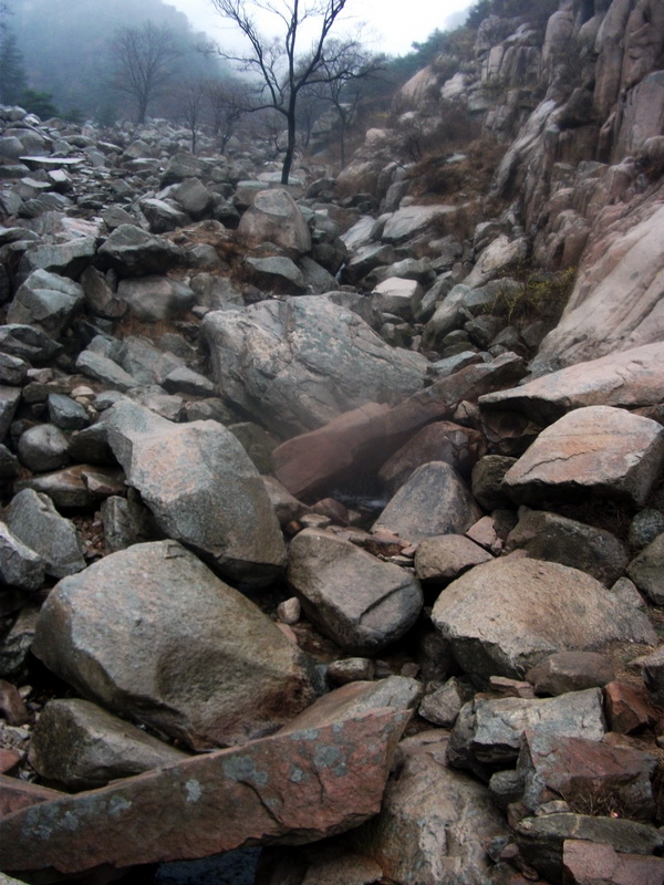 dscf0138.jpg