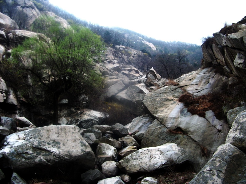 dscf0124.jpg