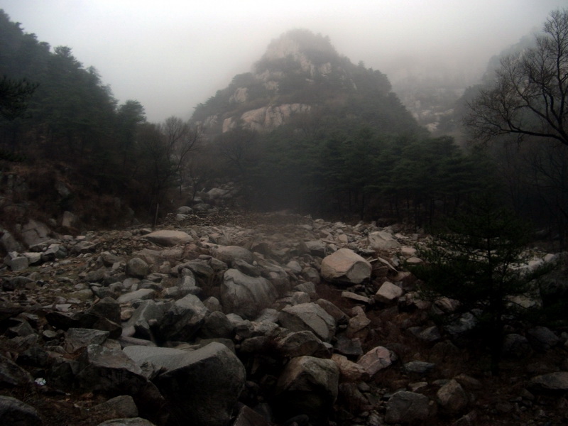 dscf0139.jpg