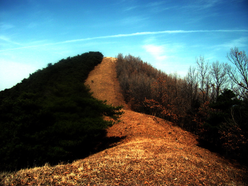 dscf0236.jpg