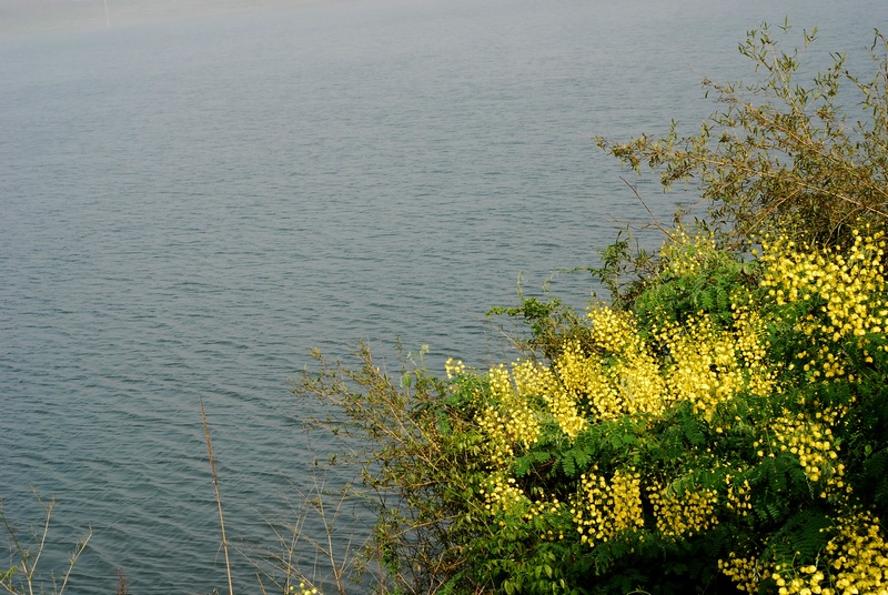 dsc_7939.jpg