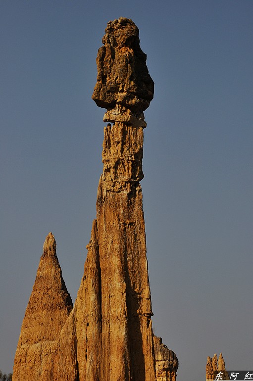 dsc_0835.jpg