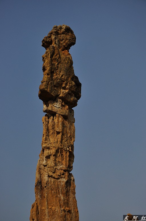 dsc_0873.jpg