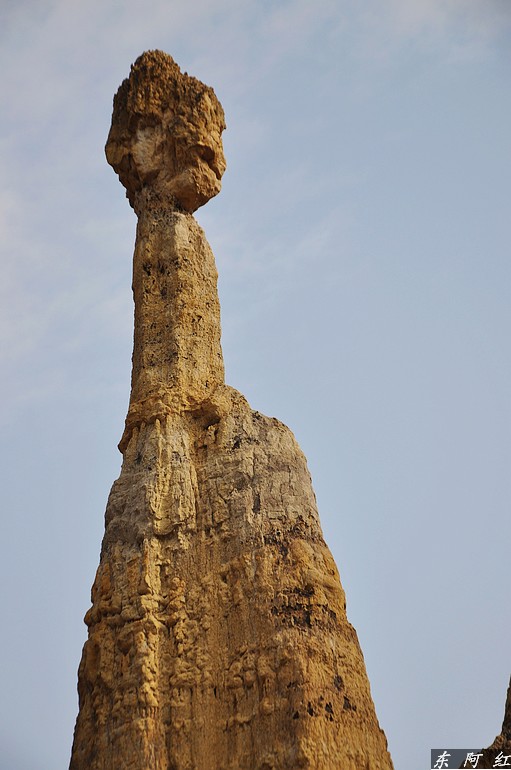 dsc_0874.jpg