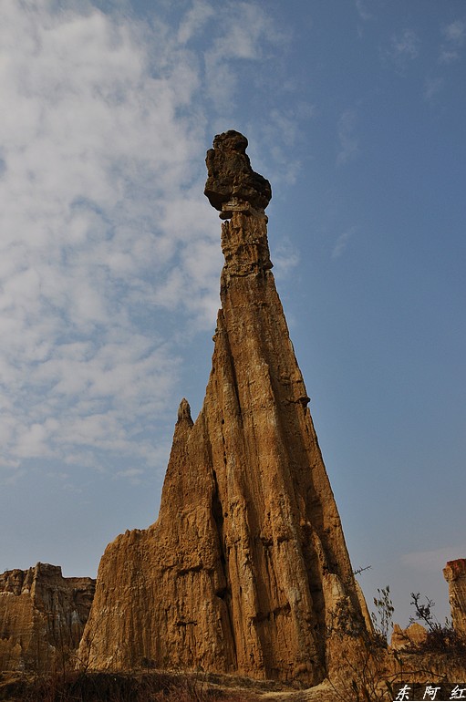 dsc_0875.jpg
