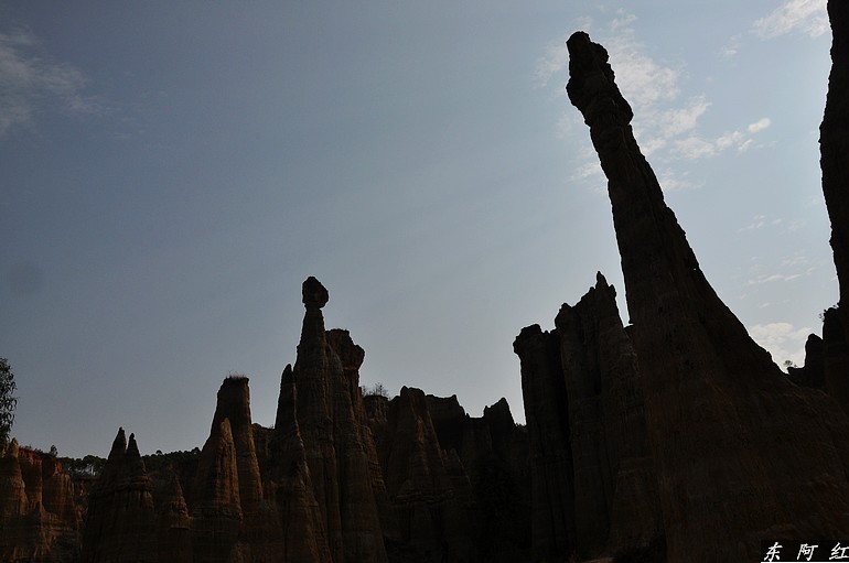 dsc_0877.jpg
