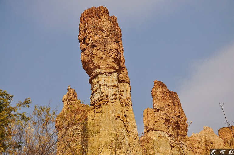dsc_0890.jpg