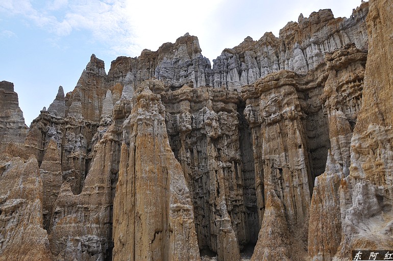 dsc_0918.jpg