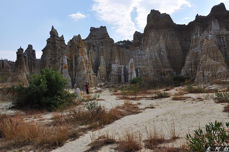 dsc_0948.jpg