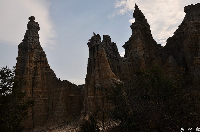 dsc_0951.jpg