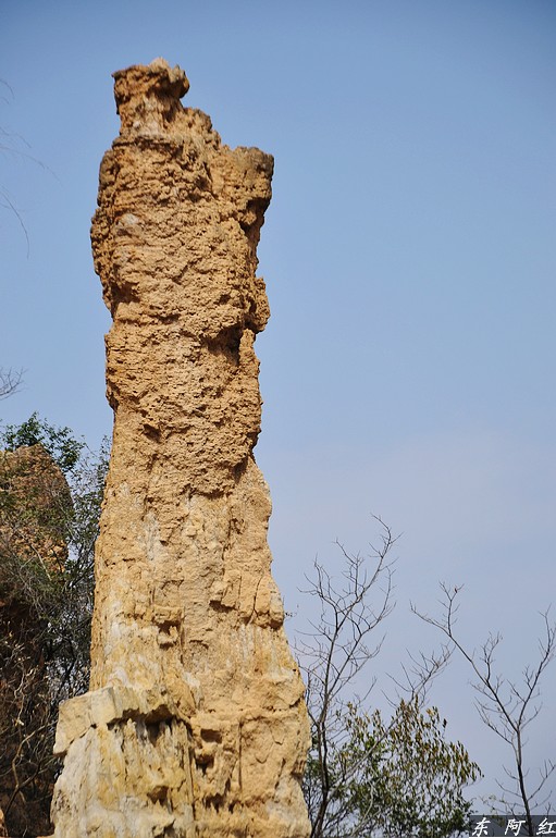 dsc_0988.jpg