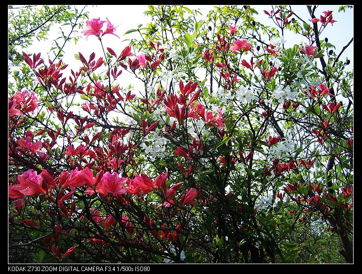 Ƭ 016.jpg