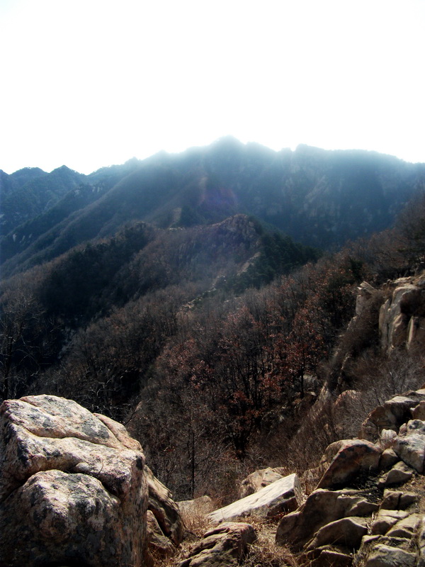 dscf0243.jpg