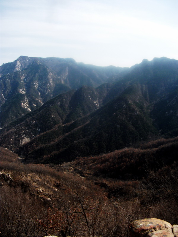 dscf0242.jpg