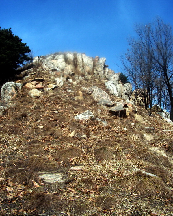 dscf0247.jpg
