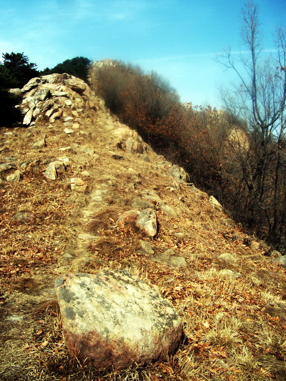 dscf0250.jpg