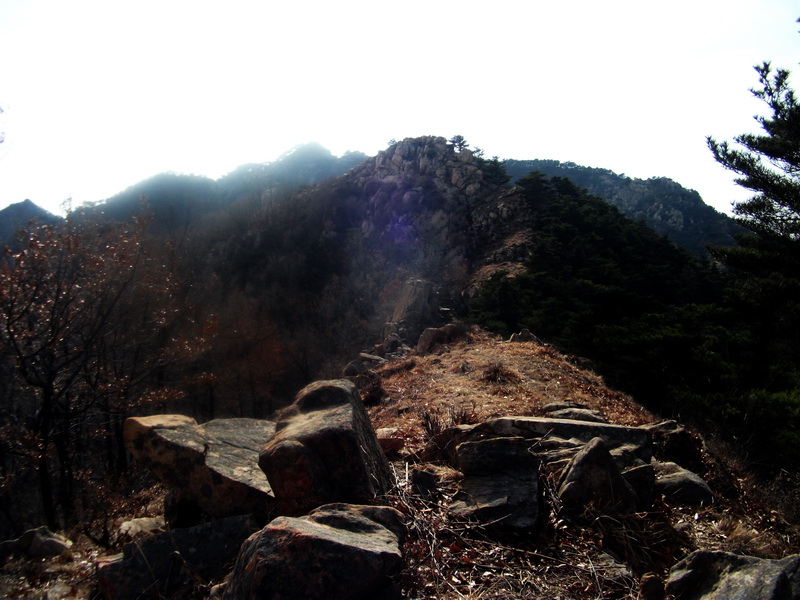 dscf0252.jpg