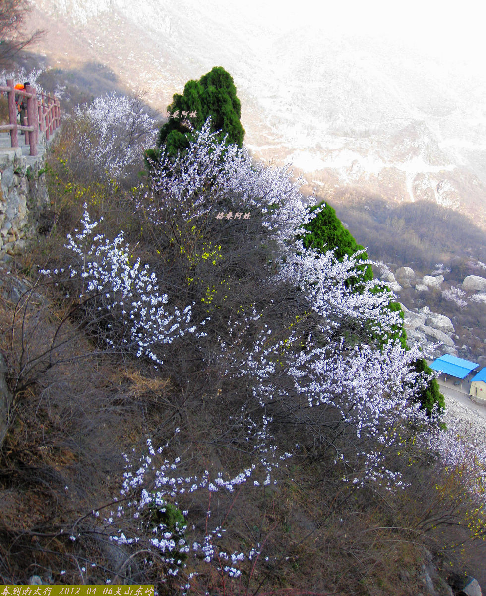 2012ȫӰ 580.jpg