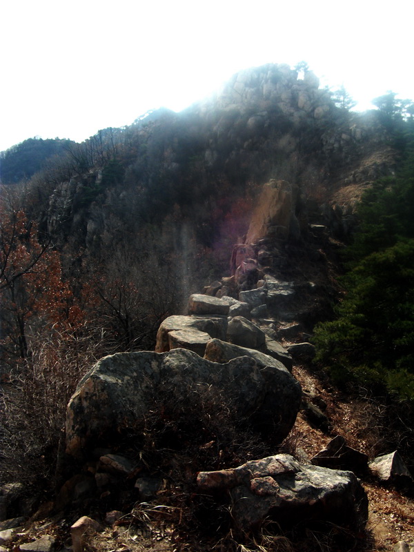 dscf0254.jpg