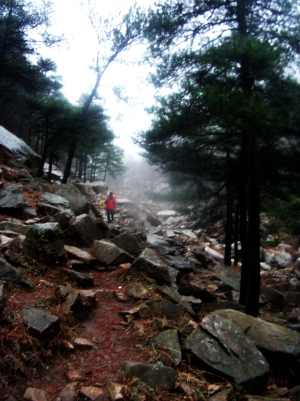 dscf0142.jpg