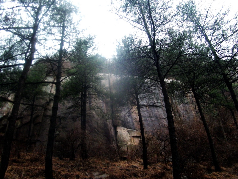 dscf0144.jpg