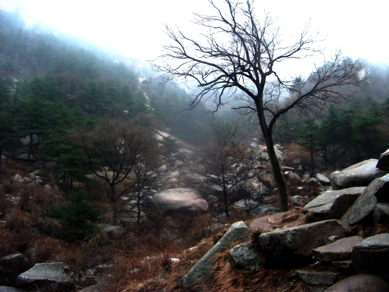 dscf0146.jpg
