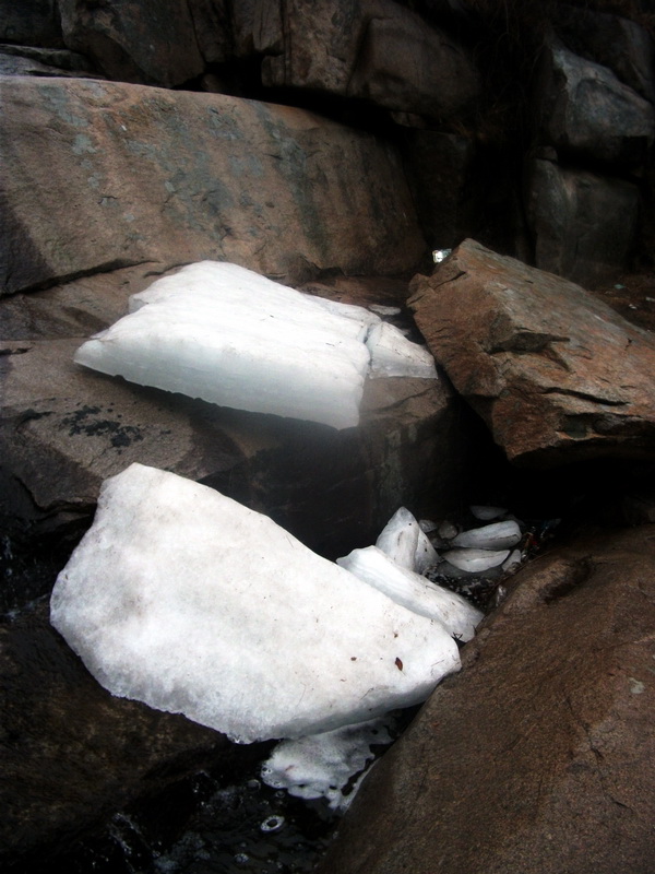 dscf0147.jpg