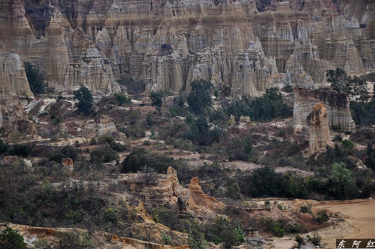 dsc_0098.jpg